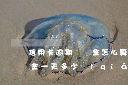 信用卡逾期違約金怎么算的(信用卡逾期違約金一天多少錢(qián))