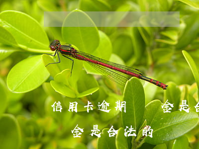 信用卡逾期違約金是合法的嗎 信用卡逾期違約金是合法的嗎嗎