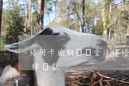 信用卡逾期違約金法律(信用卡逾期違約金法律條款)