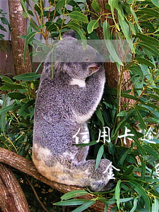 信用卡逾期違約金罰息怎么退 信用卡逾期違約金罰息怎么退款