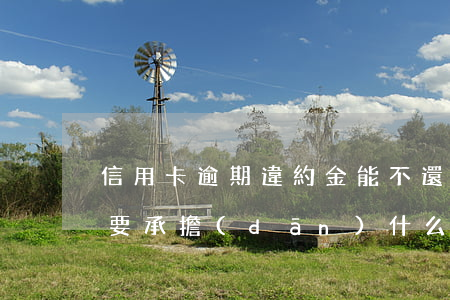 信用卡逾期違約金能不還嘛(逾期還信用卡需要承擔(dān)什么法律責(zé)任)