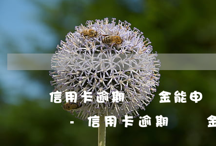 信用卡逾期違約金能申請(qǐng)退回嗎-信用卡逾期違約金能申請(qǐng)退回嗎怎么辦