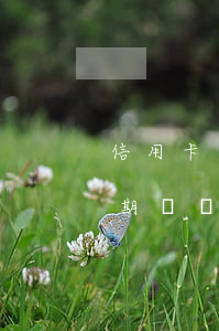 信用卡逾期違約金還不上怎么辦-信用卡逾期違約金還不上怎么辦呢