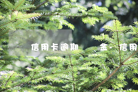 信用卡逾期違納金-信用卡 逾期 后果