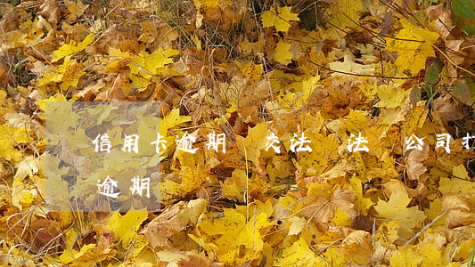 信用卡逾期遞交法務(法務公司打電話信用卡逾期)
