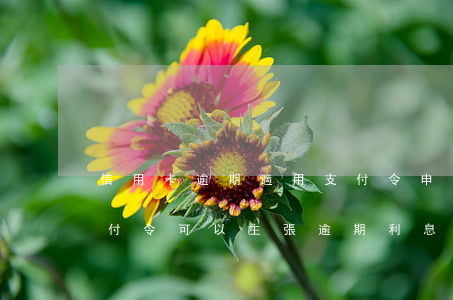 信用卡逾期適用支付令 申請(qǐng)支付令可以主張逾期利息