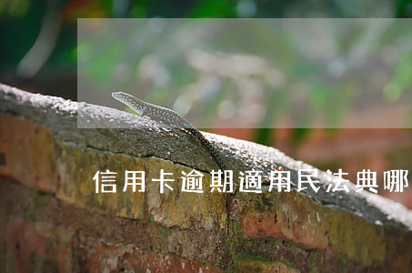 信用卡逾期適用民法典哪一條