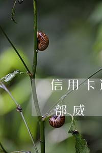 信用卡逾期遭到催收人員恐嚇(被信用卡催收部威脅恐嚇)
