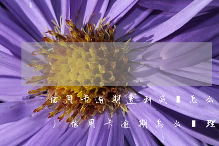 信用卡逾期遭到威脅怎么辦(銀行對(duì)信用卡逾期怎么處理)