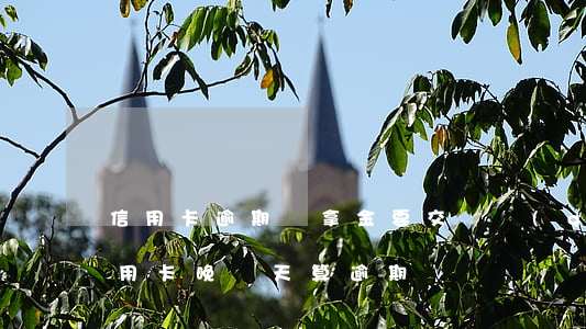 信用卡逾期遲拿金要交幾個(gè)月(還信用卡晚幾天算逾期)