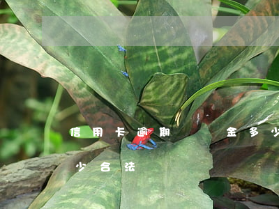 信用卡逾期遲納金多少(信用卡逾期遲納金多少合法)
