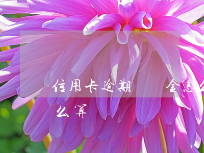 信用卡逾期遲納金怎么算(信用卡逾期罰款怎么算)