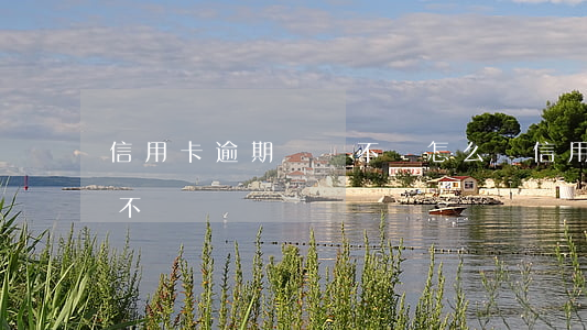 信用卡逾期遲遲不還怎么辦（信用卡逾期遲遲不還）