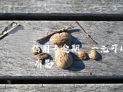信用卡逾期還一元可以嗎(信用卡逾期兩元會有影響嗎)