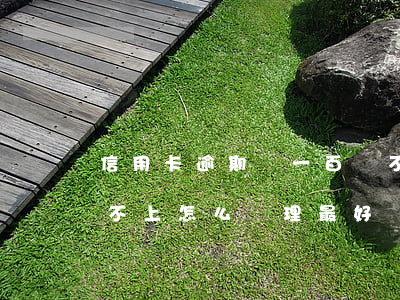 信用卡逾期還一百與不還(信用卡逾期二萬還不上,怎么處理最好)