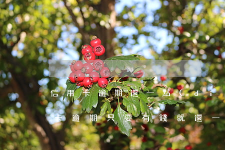 信用卡逾期還一點(diǎn)可以嗎(信用卡逾期只要有錢就還一點(diǎn),還會(huì)起訴嗎)