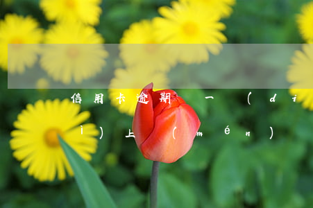 信用卡逾期還一點(diǎn)還會(huì)上門(mén)嗎(信用卡逾期還一點(diǎn)還會(huì)上門(mén)嗎)