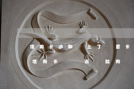 信用卡逾期還上了儲蓄卡能解封嗎-逾期的信用卡還進去還能用嗎