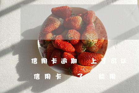 信用卡逾期還上了可以辦理分期嗎-逾期的信用卡還了還能用嗎
