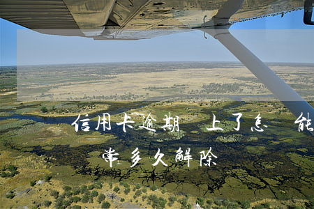 信用卡逾期還上了怎樣能解凍(逾期后信用卡異常多久解除)