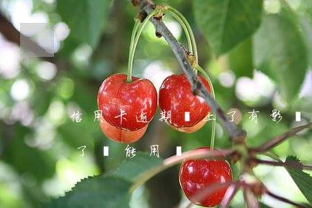 信用卡逾期還上了有影響嗎(逾期的信用卡還了還能用嗎)