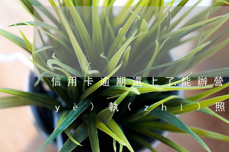 信用卡逾期還上了能辦營(yíng)業(yè)執(zhí)照嗎-我信用卡逾期可以辦營(yíng)業(yè)執(zhí)照
