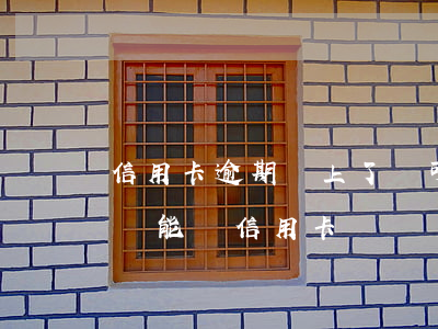 信用卡逾期還上了還可以用不(為什么有逾期還能辦信用卡)