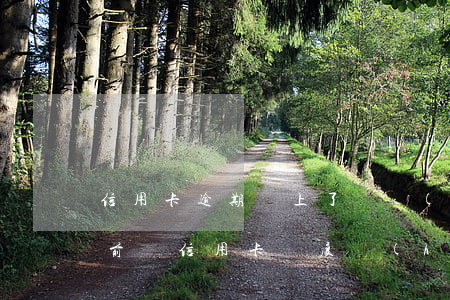 信用卡逾期還上了還會(huì)提額度(提前還信用卡額度會(huì)回來嗎)