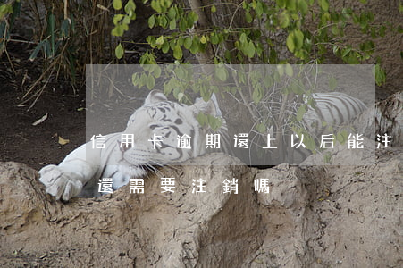 信用卡逾期還上以后能注銷嗎(過期的信用卡還需要注銷嗎)