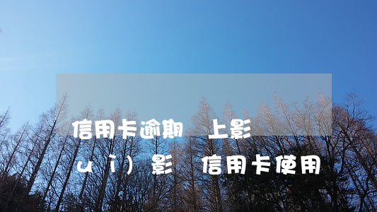 信用卡逾期還上影響車貸嗎(車貸逾期會(huì)影響信用卡使用嗎)