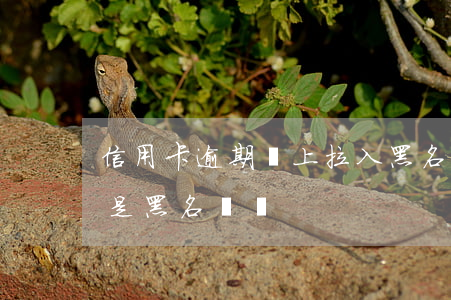 信用卡逾期還上拉入黑名單(欠信用卡還清還是黑名單嗎)