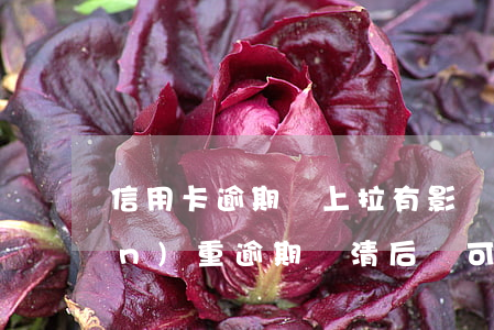信用卡逾期還上拉有影響嗎(信用卡嚴(yán)重逾期還清后還可以用嗎)