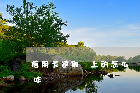 信用卡逾期還上的怎么辦(信用卡逾期還不上咋辦)