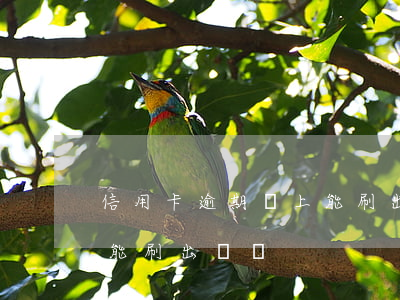 信用卡逾期還上能刷出來嗎(信用卡逾期還上能刷出來嗎)