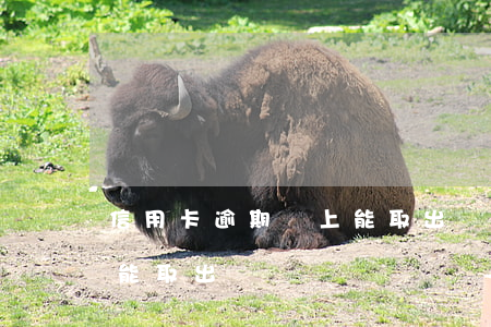 信用卡逾期還上能取出來嗎(信用卡逾期還上能取出來嗎)