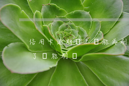 信用卡逾期還上還能再刷嗎(逾期的信用卡還了還能刷嗎)