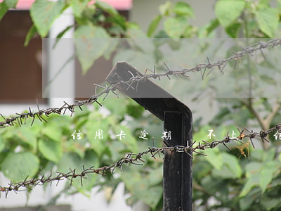 信用卡逾期還不上-信用卡逾期還不上怎么辦