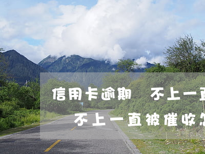 信用卡逾期還不上一直被催收-信用卡逾期還不上一直被催收怎么辦