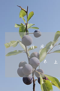 信用卡逾期還不上了(2020年信用卡逾期還不上)