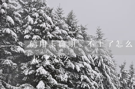 信用卡逾期還不上了怎么辦(信用卡逾期還不起了怎么辦)