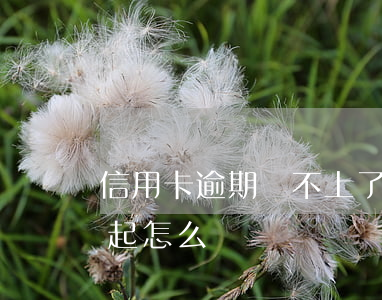 信用卡逾期還不上了怎么辦?(信用卡逾期還不起怎么辦)