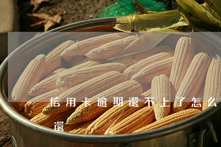 信用卡逾期還不上了怎么辦(欠信用卡逾期不還)