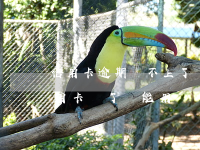 信用卡逾期還不上了還能再用嗎-逾期的信用卡還了還能用嗎