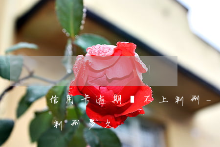 信用卡逾期還不上判刑-信用卡逾期還不上判刑多久
