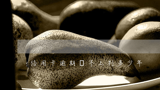 信用卡逾期還不上判多少年