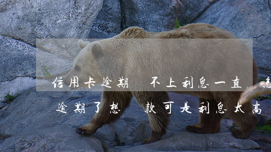 信用卡逾期還不上利息一直漲怎么辦(信用卡逾期了想還款可是利息太高了怎么辦)