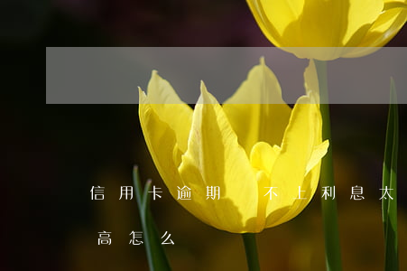 信用卡逾期還不上利息太高(欠信用卡利息太高怎么辦)