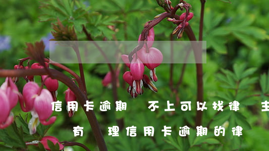 信用卡逾期還不上可以找律師主動介入嗎(有沒有處理信用卡逾期的律師)