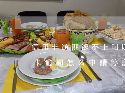 信用卡逾期還不上可以申請停息掛賬嗎(信用卡逾期怎么申請停息掛賬)