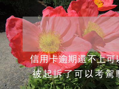 信用卡逾期還不上可以考駕駛證嗎(欠信用卡被起訴了可以考駕駛證嗎)